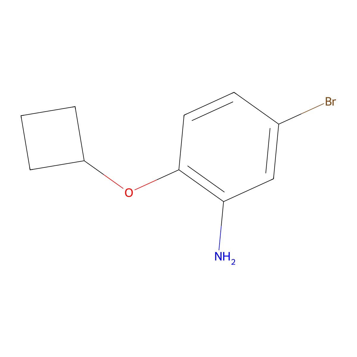 5-Bromo-2-cyclobutoxyaniline molecular structure, CAS 1457901-10-8