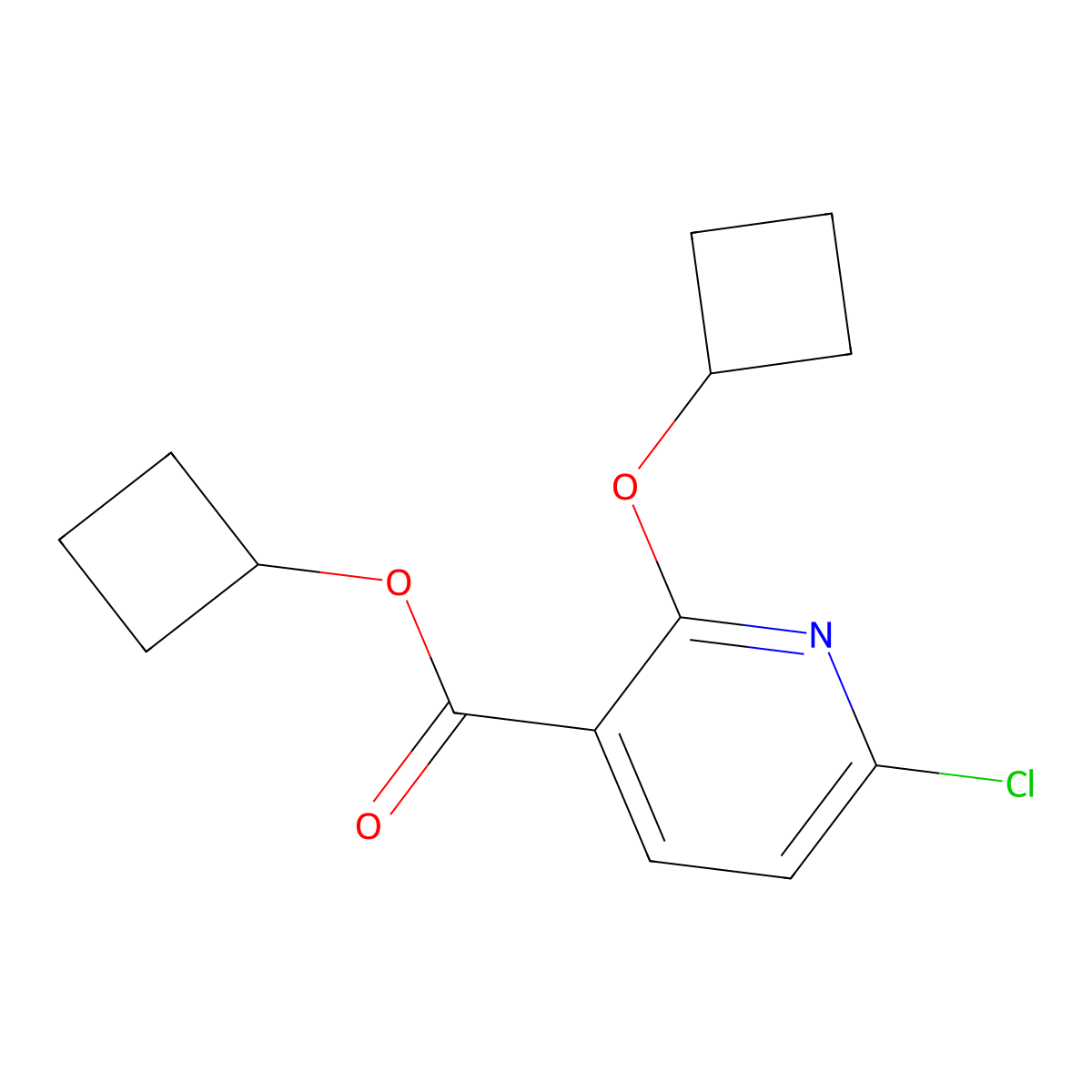 Cyclobutyl 6-chloro-2-cyclobutoxypyridine-3-carboxylate molecular structure, CAS 1461713-48-3