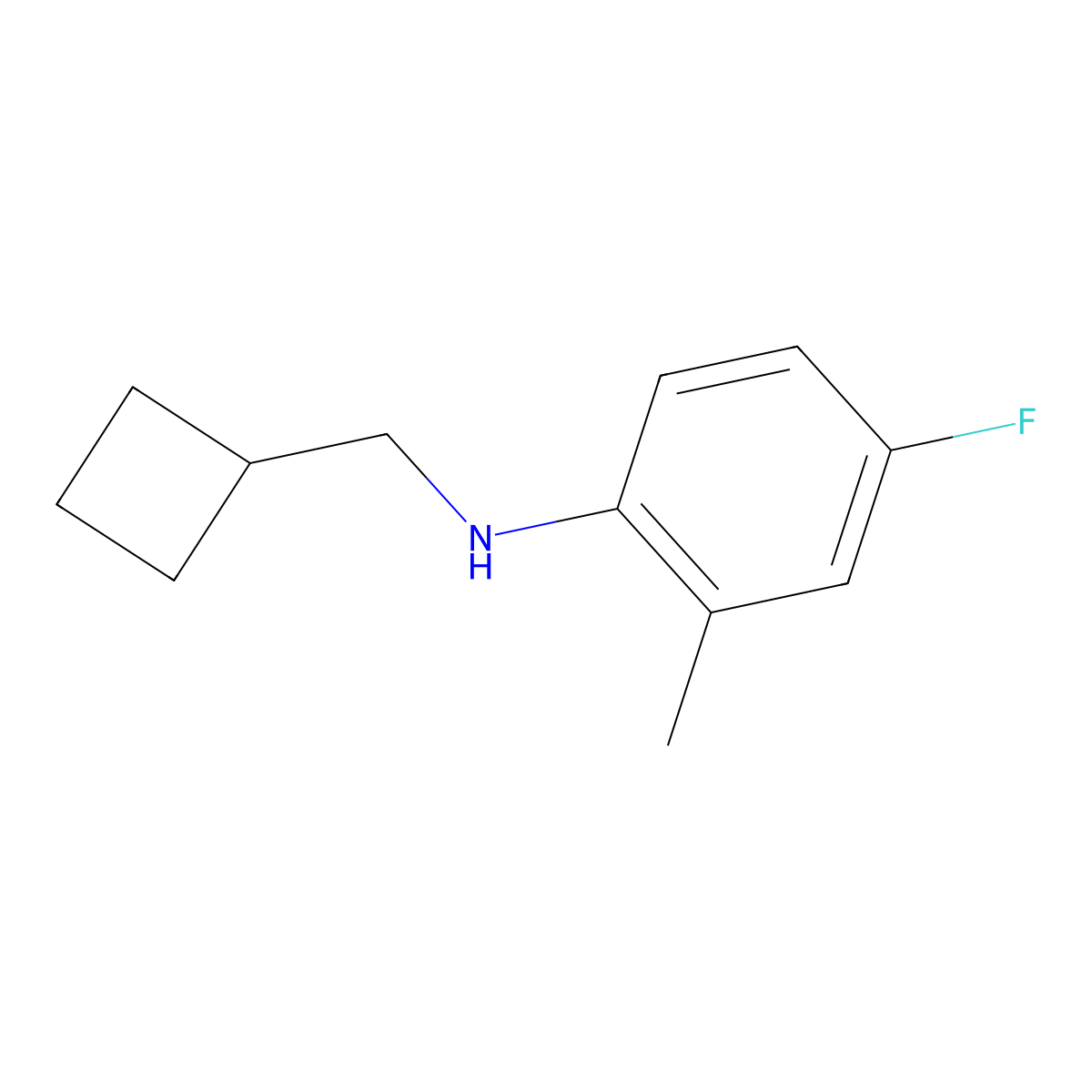 N-(cyclobutylmethyl)-4-fluoro-2-methylaniline molecular structure, CAS 1462908-50-4