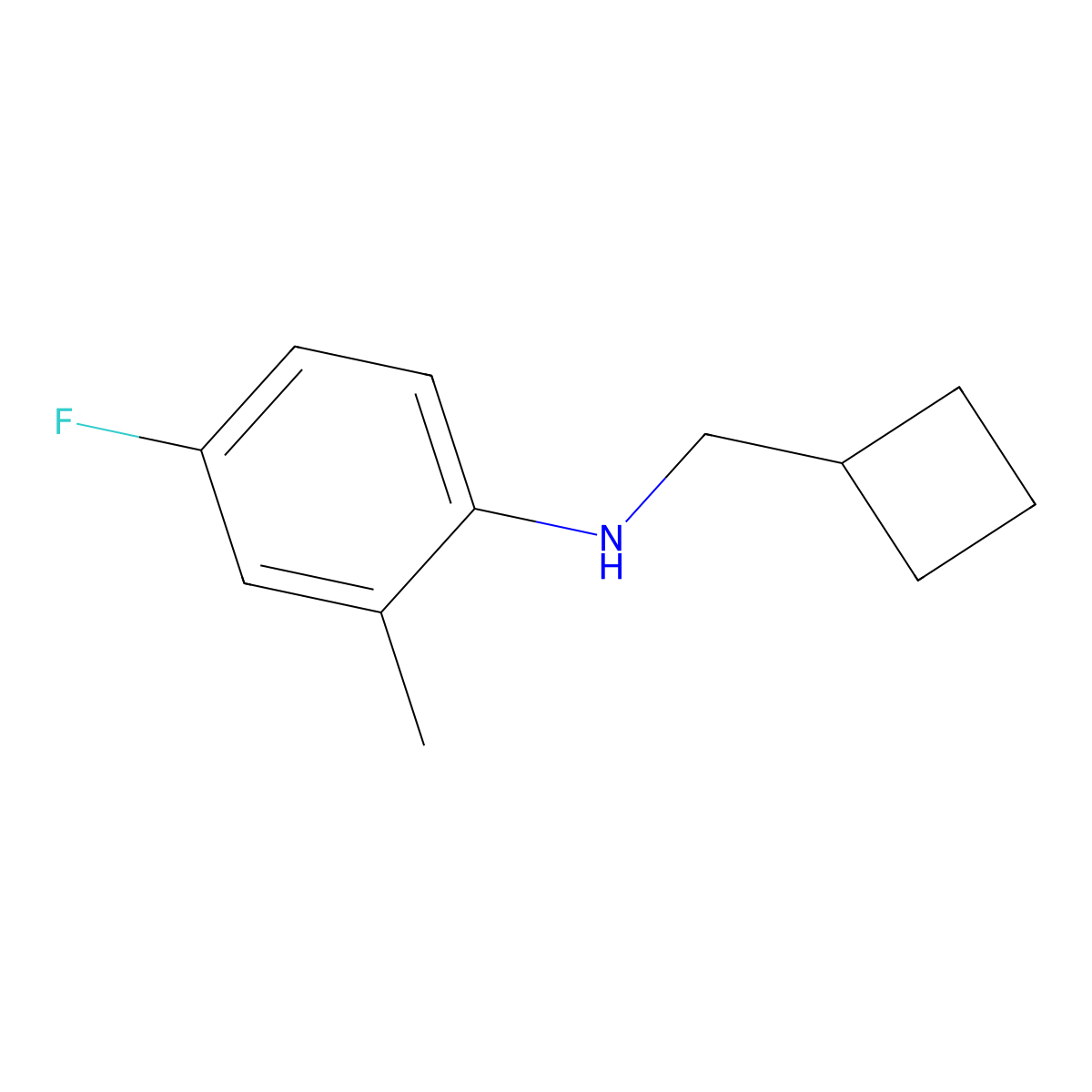 N-(cyclobutylmethyl)-4-fluoro-2-methylaniline molecular structure, CAS 1462908-50-4