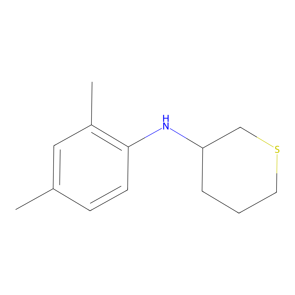N-(2,4-dimethylphenyl)thian-3-amine molecular structure, CAS 1467847-69-3