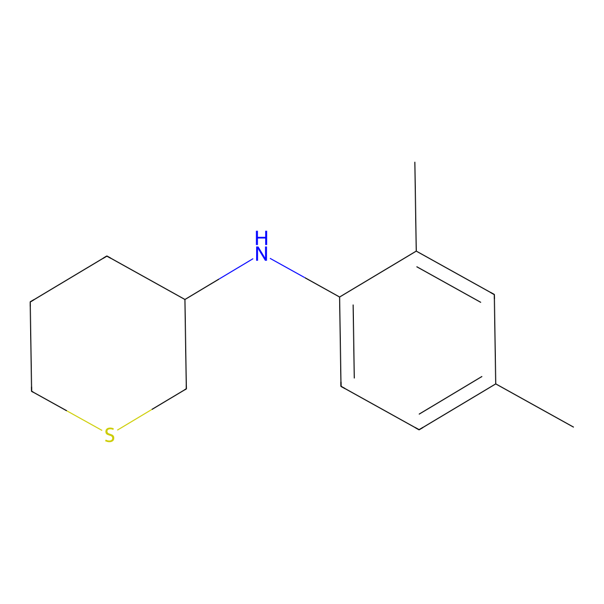 N-(2,4-dimethylphenyl)thian-3-amine molecular structure, CAS 1467847-69-3
