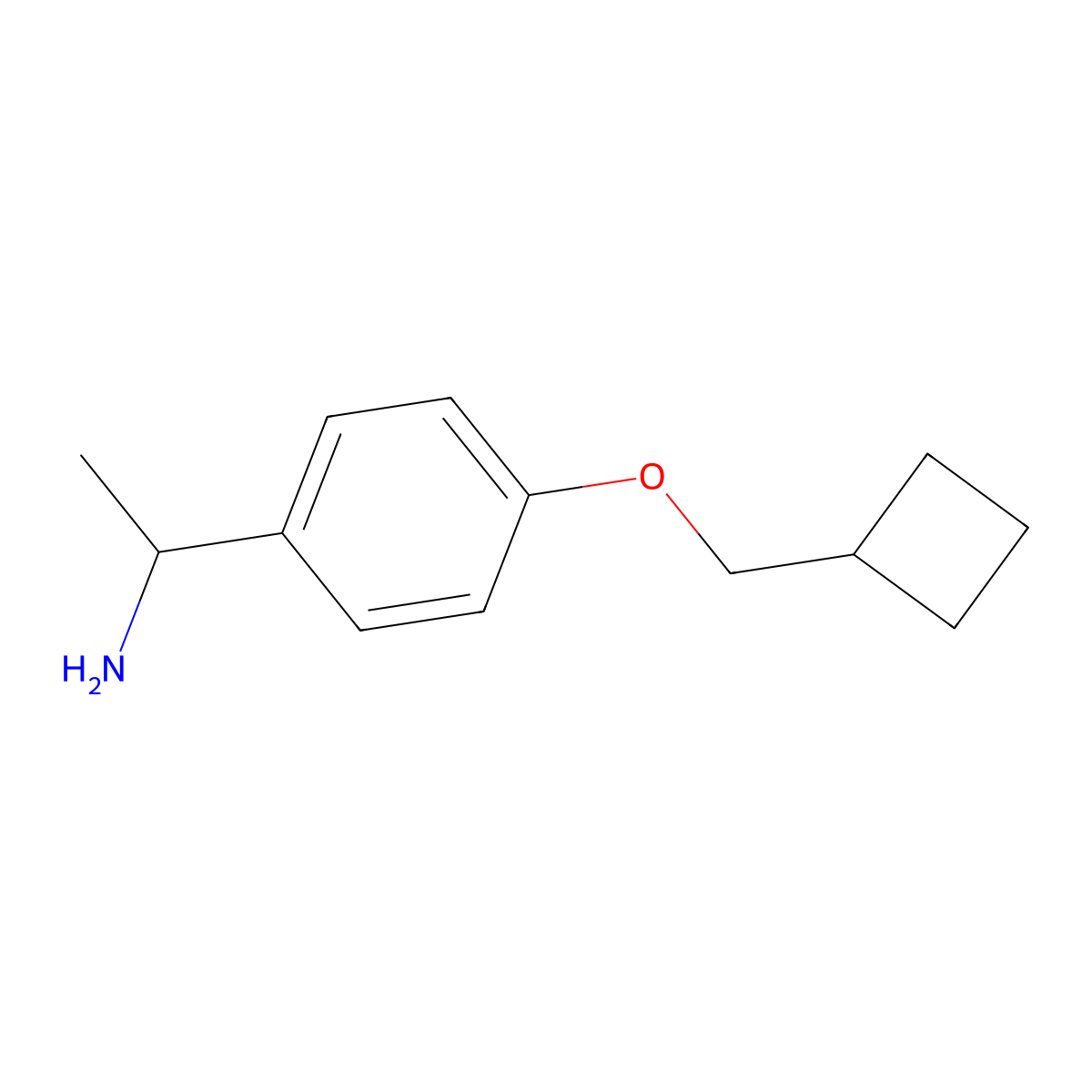 1-[4-(Cyclobutylmethoxy)phenyl]ethan-1-amine molecular structure, CAS 1469059-64-0