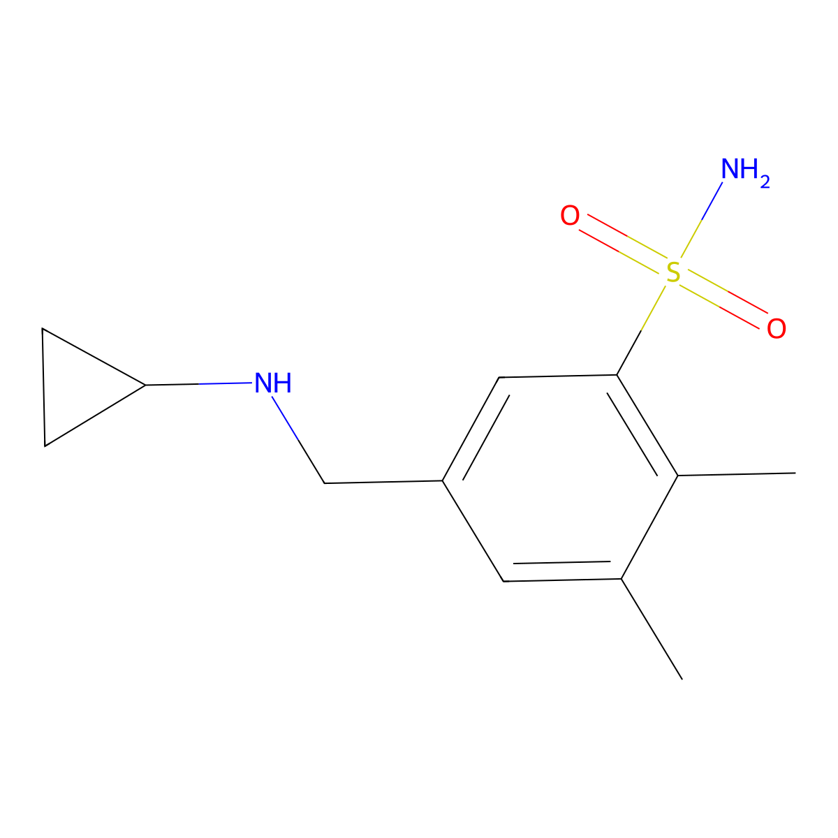5-[(Cyclopropylamino)methyl]-2,3-dimethylbenzene-1-sulfonamide molecular structure, CAS 1476077-66-3
