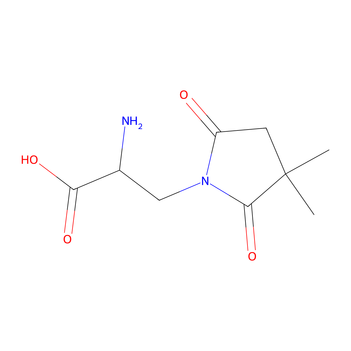 2-Amino-3-(3,3-dimethyl-2,5-dioxopyrrolidin-1-yl)propanoic acid molecular structure, CAS 1478409-05-0