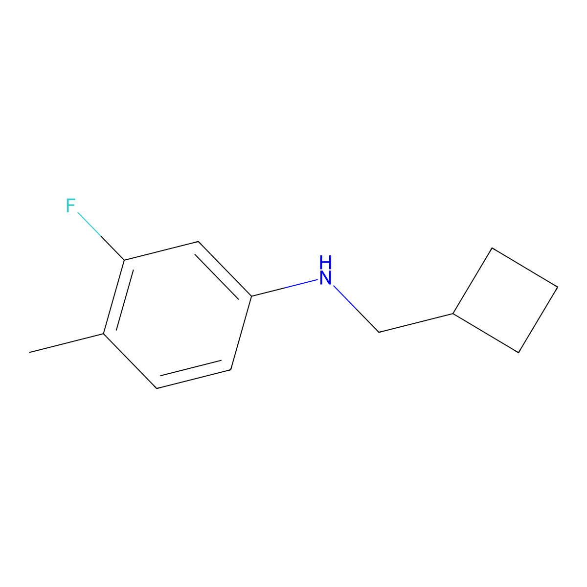 N-(cyclobutylmethyl)-3-fluoro-4-methylaniline molecular structure, CAS 1478874-07-5