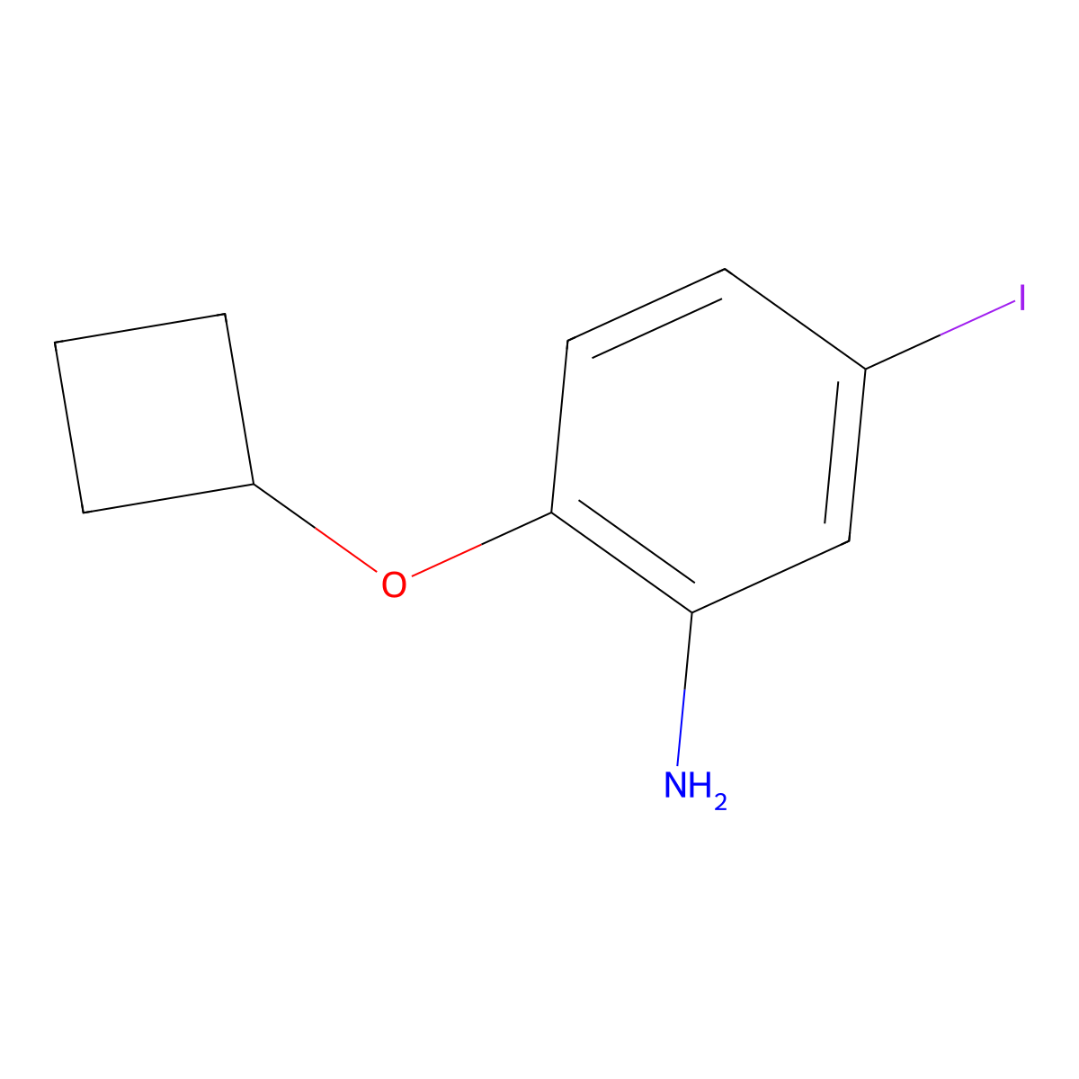2-Cyclobutoxy-5-iodoaniline molecular structure, CAS 1479821-82-3