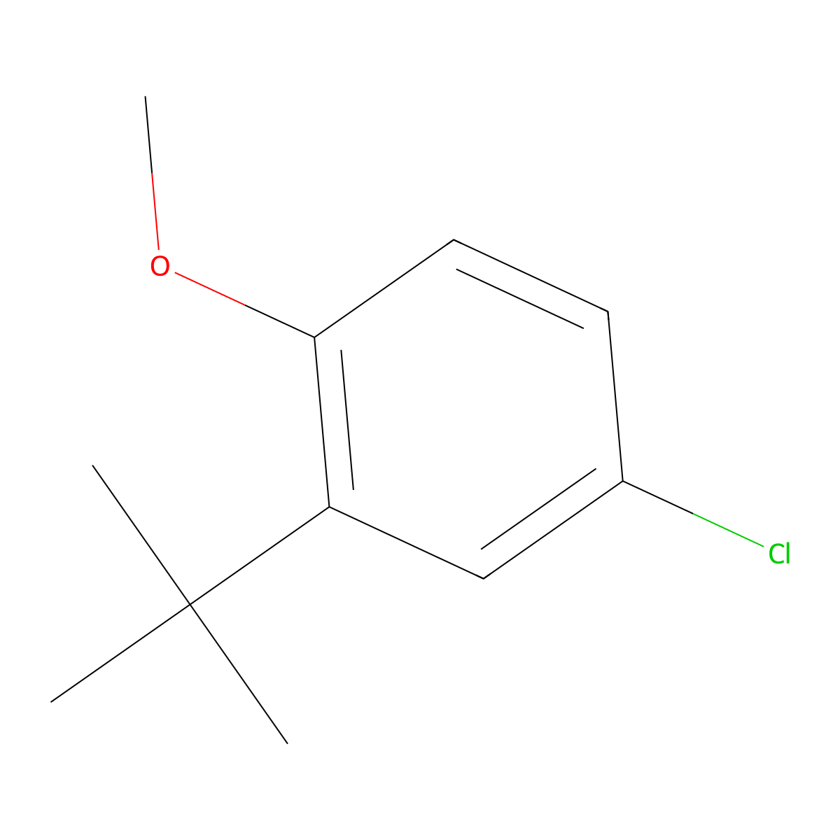2-tert-Butyl-4-chloro-1-methoxybenzene molecular structure, CAS 14804-33-2