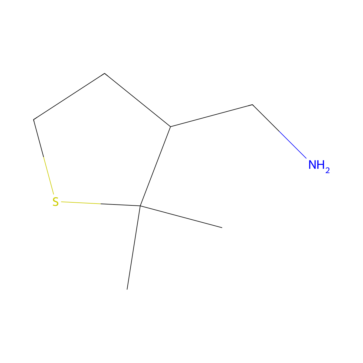 (2,2-Dimethylthiolan-3-yl)methanamine molecular structure, CAS 1481415-13-7