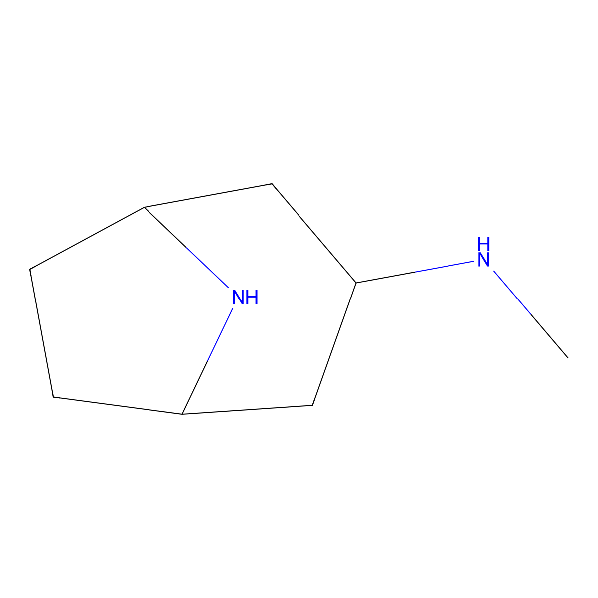 N-methyl-8-azabicyclo[3.2.1]octan-3-amine molecular structure, CAS 1484371-57-4
