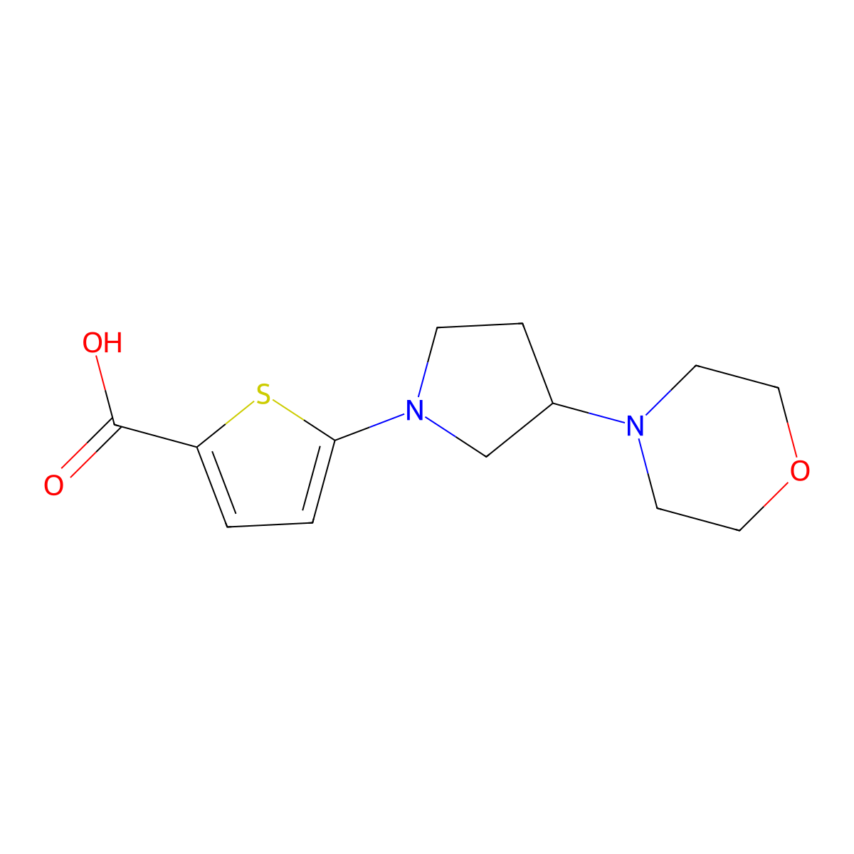 5-[3-(Morpholin-4-yl)pyrrolidin-1-yl]thiophene-2-carboxylic acid molecular structure, CAS 1484489-57-7