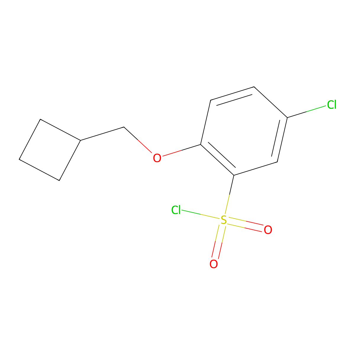 5-Chloro-2-(cyclobutylmethoxy)benzene-1-sulfonyl chloride molecular structure, CAS 1485204-33-8