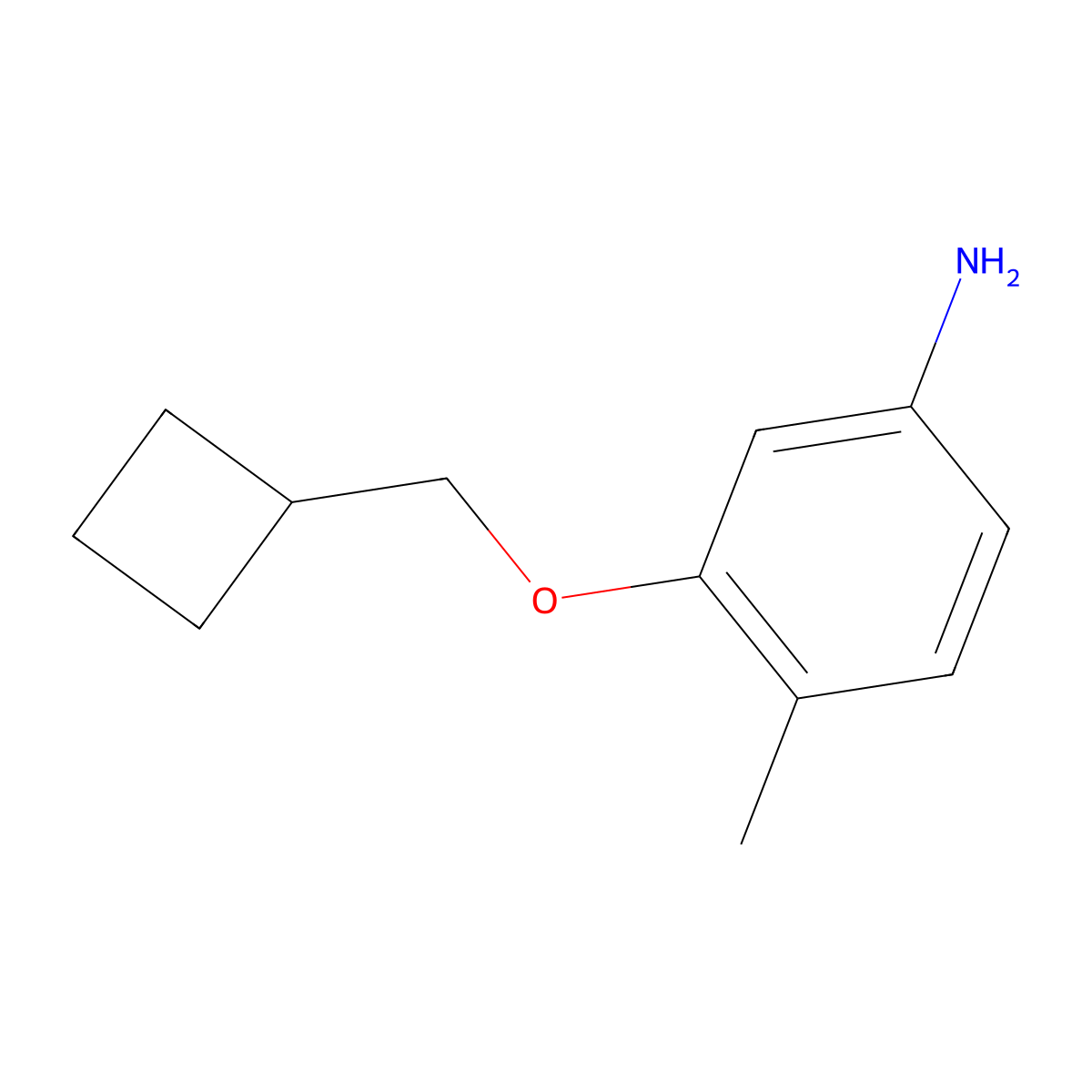 3-(Cyclobutylmethoxy)-4-methylaniline molecular structure, CAS 1485357-41-2