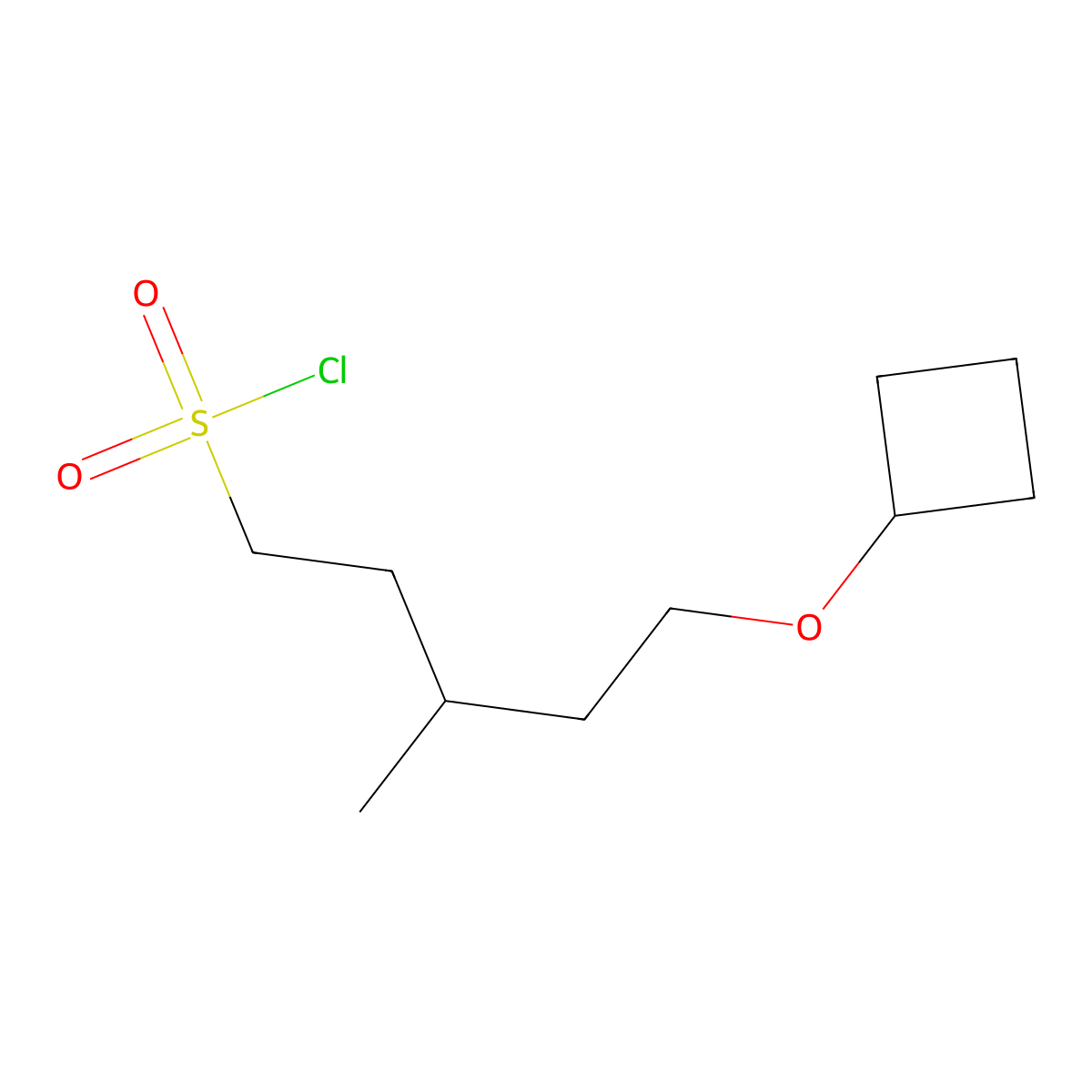 5-Cyclobutoxy-3-methylpentane-1-sulfonyl chloride molecular structure, CAS 1489518-26-4