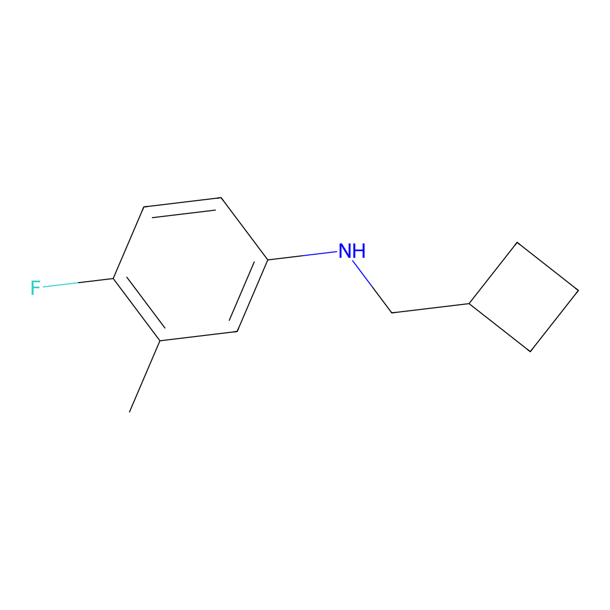 N-(cyclobutylmethyl)-4-fluoro-3-methylaniline molecular structure, CAS 1489566-79-1