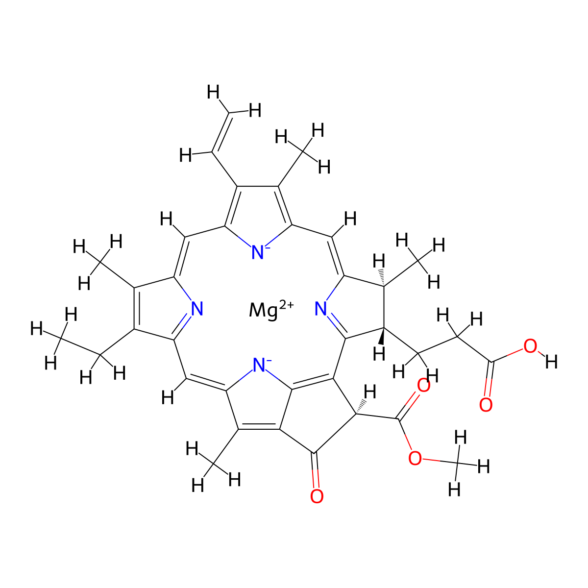 Chlorophyllide a molecular structure, CAS 14897-06-4