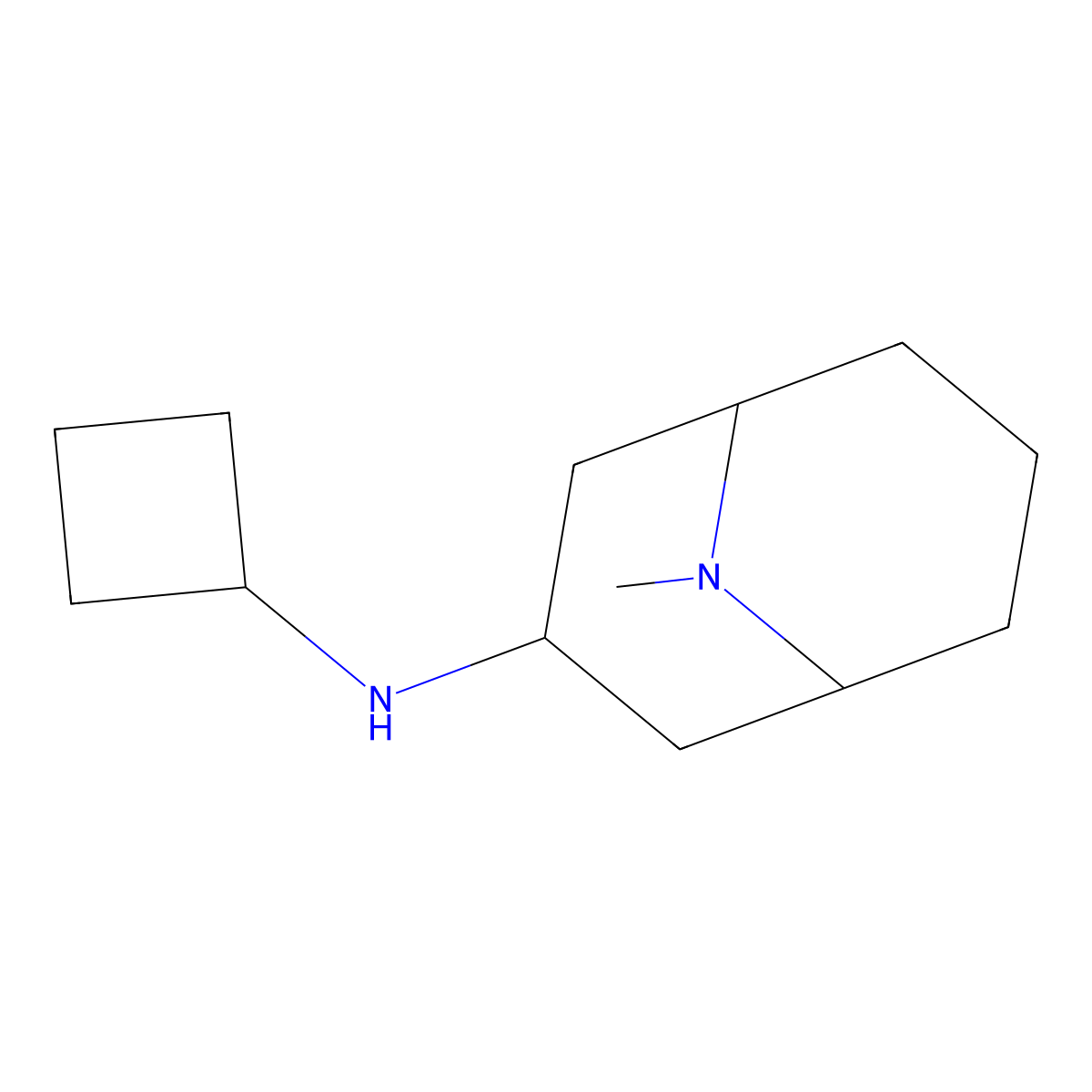 N-cyclobutyl-9-methyl-9-azabicyclo[3.3.1]nonan-3-amine molecular structure, CAS 1489747-93-4