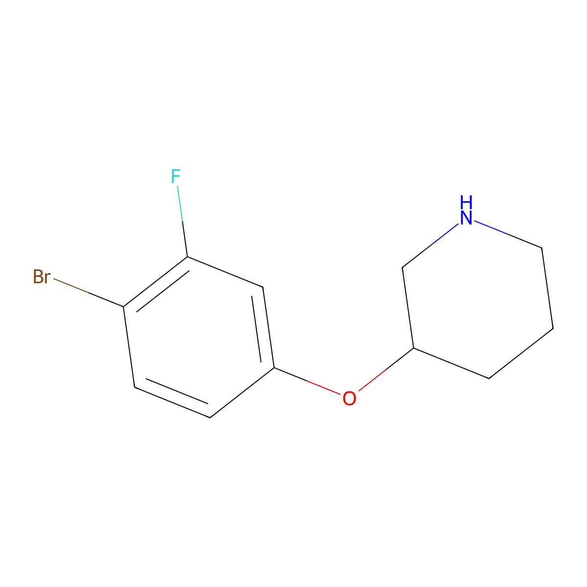 3-(4-Bromo-3-fluorophenoxy)piperidine molecular structure, CAS 1490729-96-8
