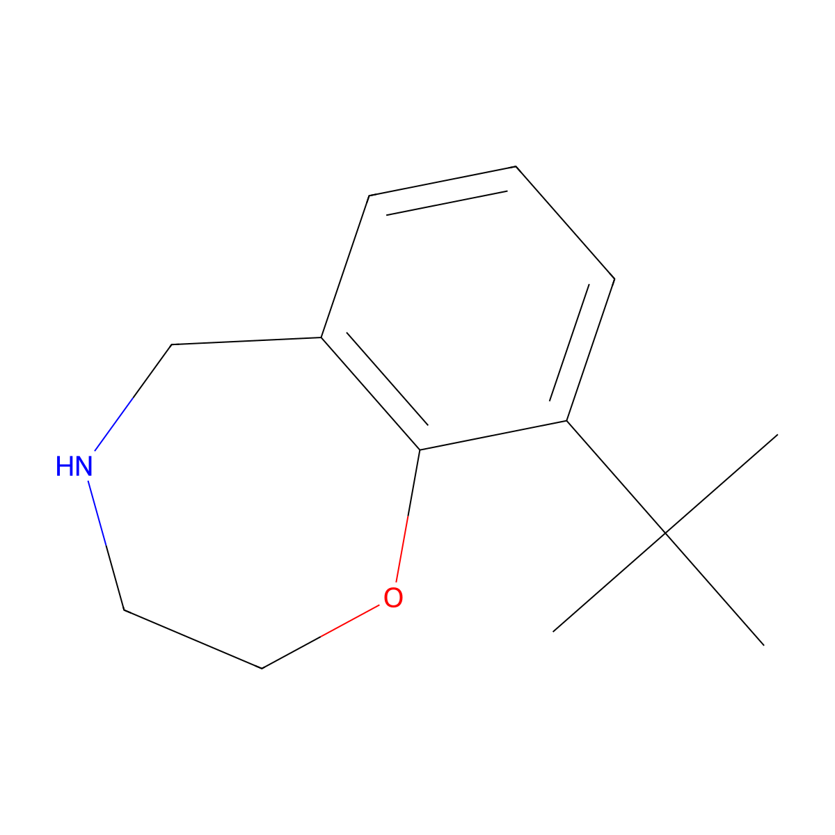 9-Tert-butyl-2,3,4,5-tetrahydro-1,4-benzoxazepine molecular structure, CAS 1490771-89-5