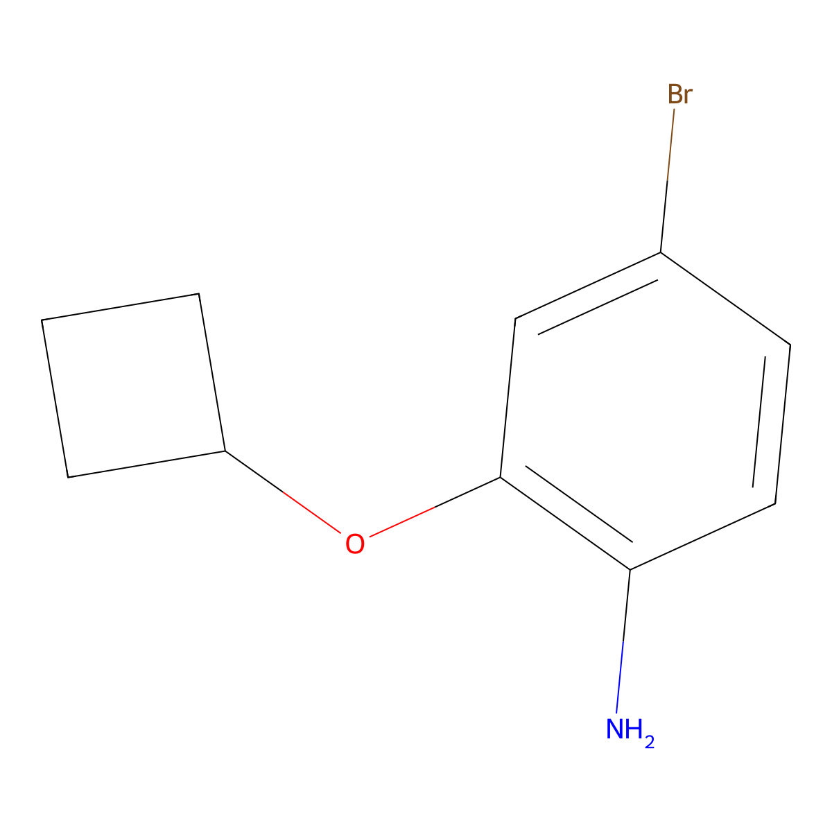 4-Bromo-2-cyclobutoxyaniline molecular structure, CAS 1491046-05-9