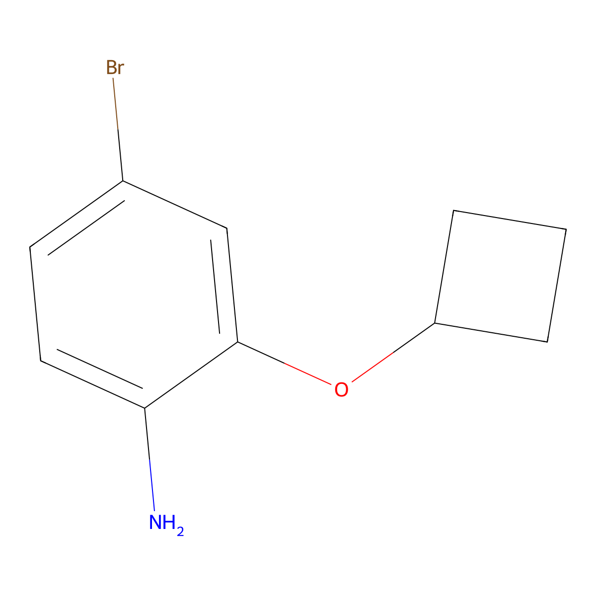 4-Bromo-2-cyclobutoxyaniline molecular structure, CAS 1491046-05-9