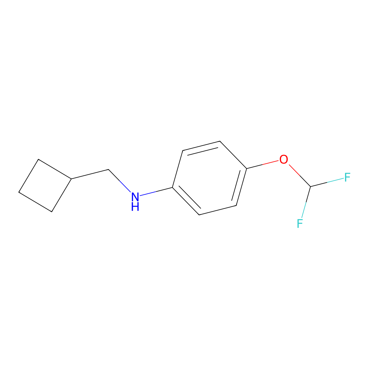N-(cyclobutylmethyl)-4-(difluoromethoxy)aniline molecular structure, CAS 1491084-85-5
