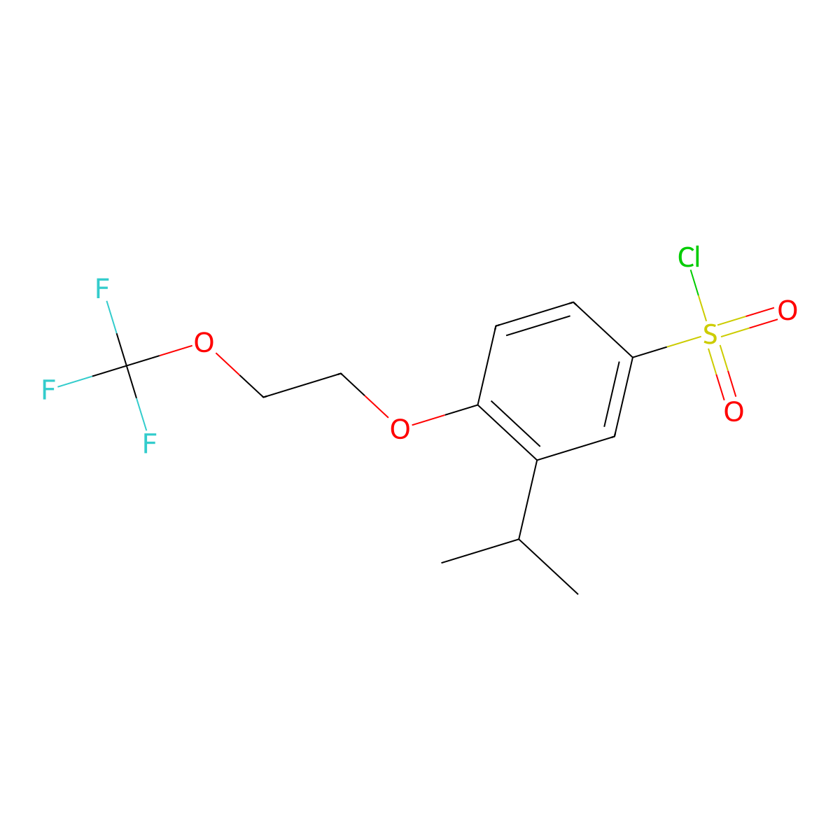3-(Propan-2-yl)-4-[2-(trifluoromethoxy)ethoxy]benzene-1-sulfonyl chloride molecular structure, CAS 1491771-32-4