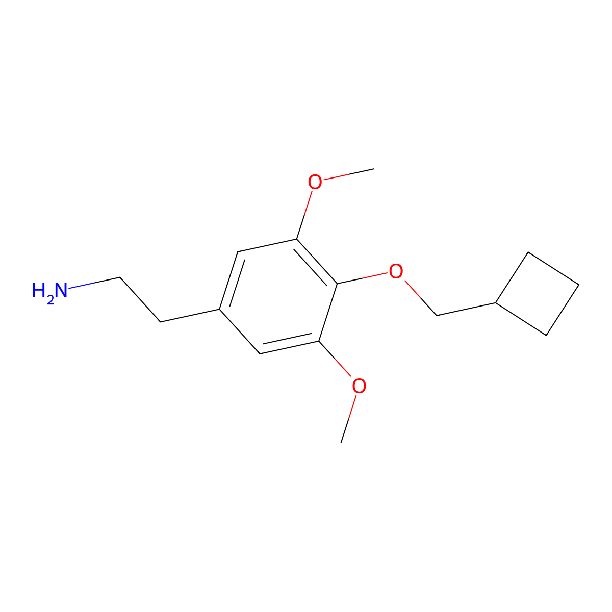 2-[4-(Cyclobutylmethoxy)-3,5-dimethoxyphenyl]ethan-1-amine molecular structure, CAS 1493308-88-5