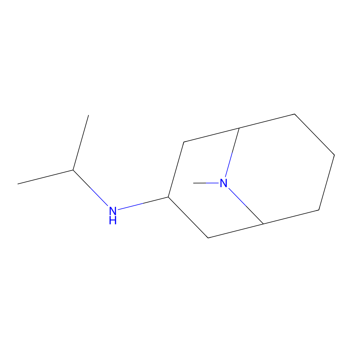 9-methyl-N-(propan-2-yl)-9-azabicyclo[3.3.1]nonan-3-amine molecular structure, CAS 1495137-92-2
