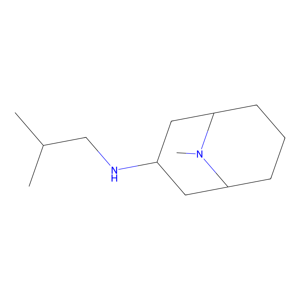 9-methyl-N-(2-methylpropyl)-9-azabicyclo[3.3.1]nonan-3-amine molecular structure, CAS 1495558-93-4
