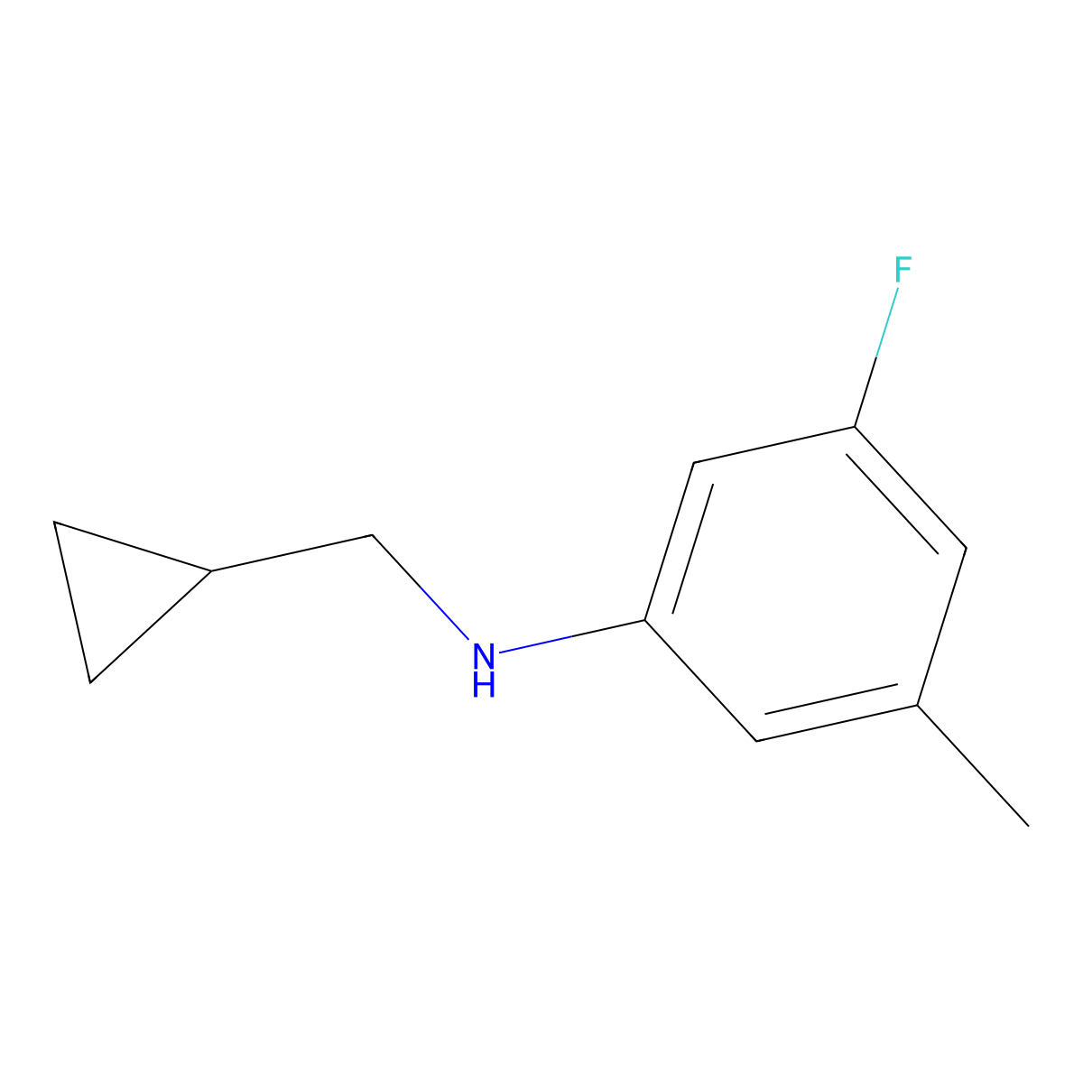 N-(cyclopropylmethyl)-3-fluoro-5-methylaniline molecular structure, CAS 1500978-29-9