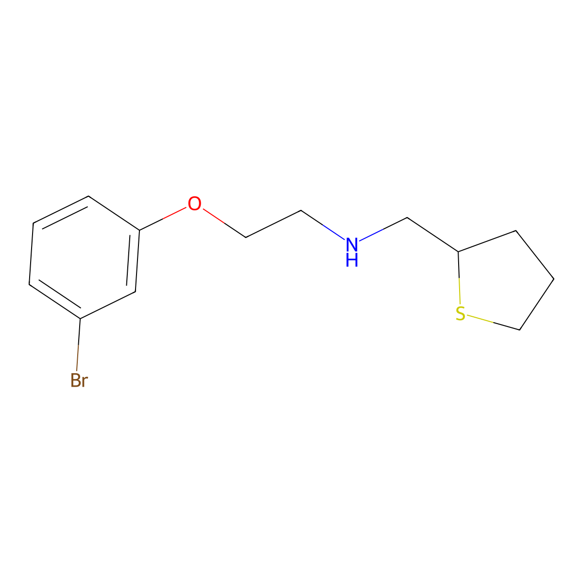 2-(3-Bromophenoxy)-N-((tetrahydrothiophen-2-yl)methyl)ethan-1-amine molecular structure, CAS 1501898-41-4