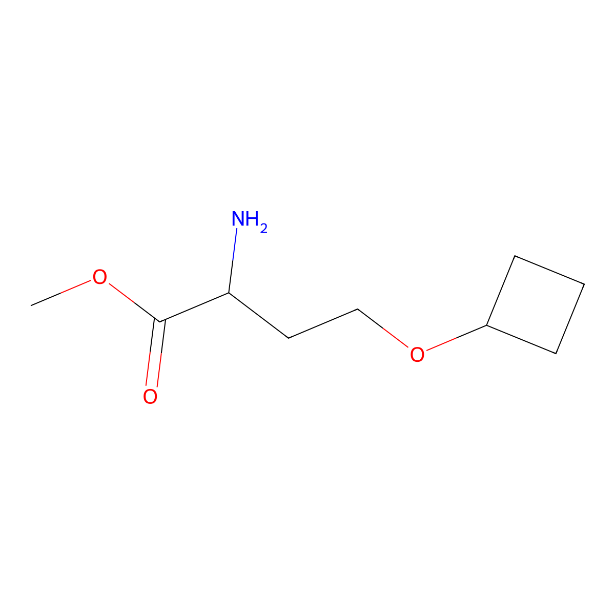 Methyl 2-amino-4-cyclobutoxybutanoate molecular structure, CAS 1501963-66-1