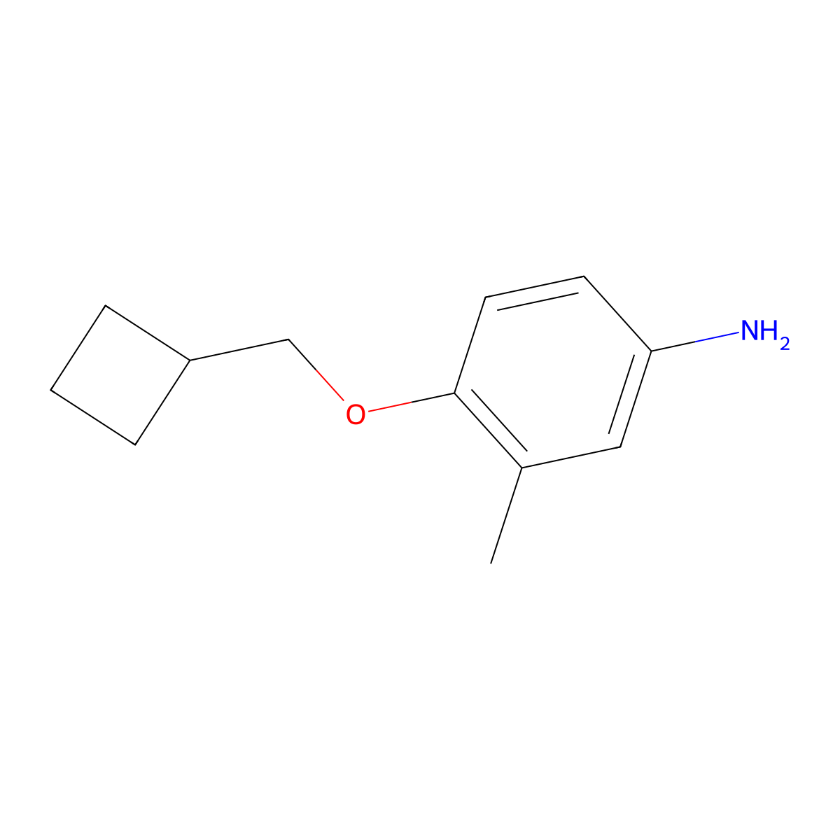 4-(Cyclobutylmethoxy)-3-methylaniline molecular structure, CAS 1506902-02-8