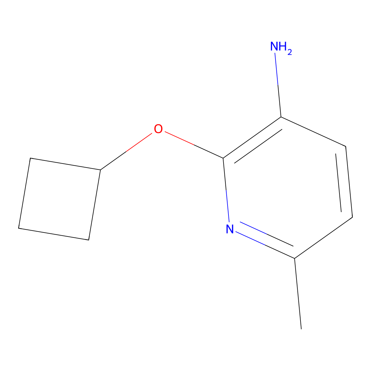 2-Cyclobutoxy-6-methylpyridin-3-amine molecular structure, CAS 1507888-68-7