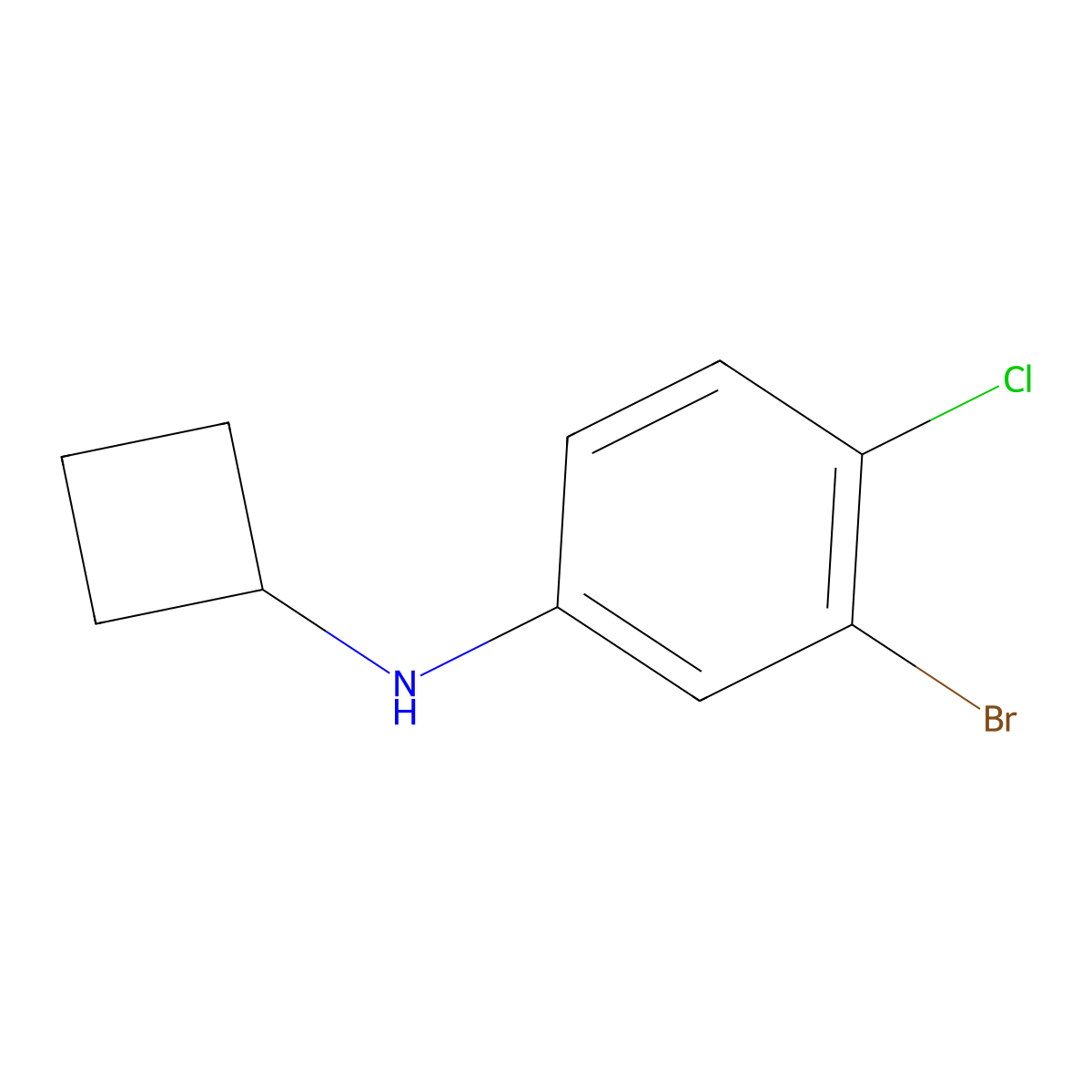 3-bromo-4-chloro-N-cyclobutylaniline molecular structure, CAS 1511667-11-0