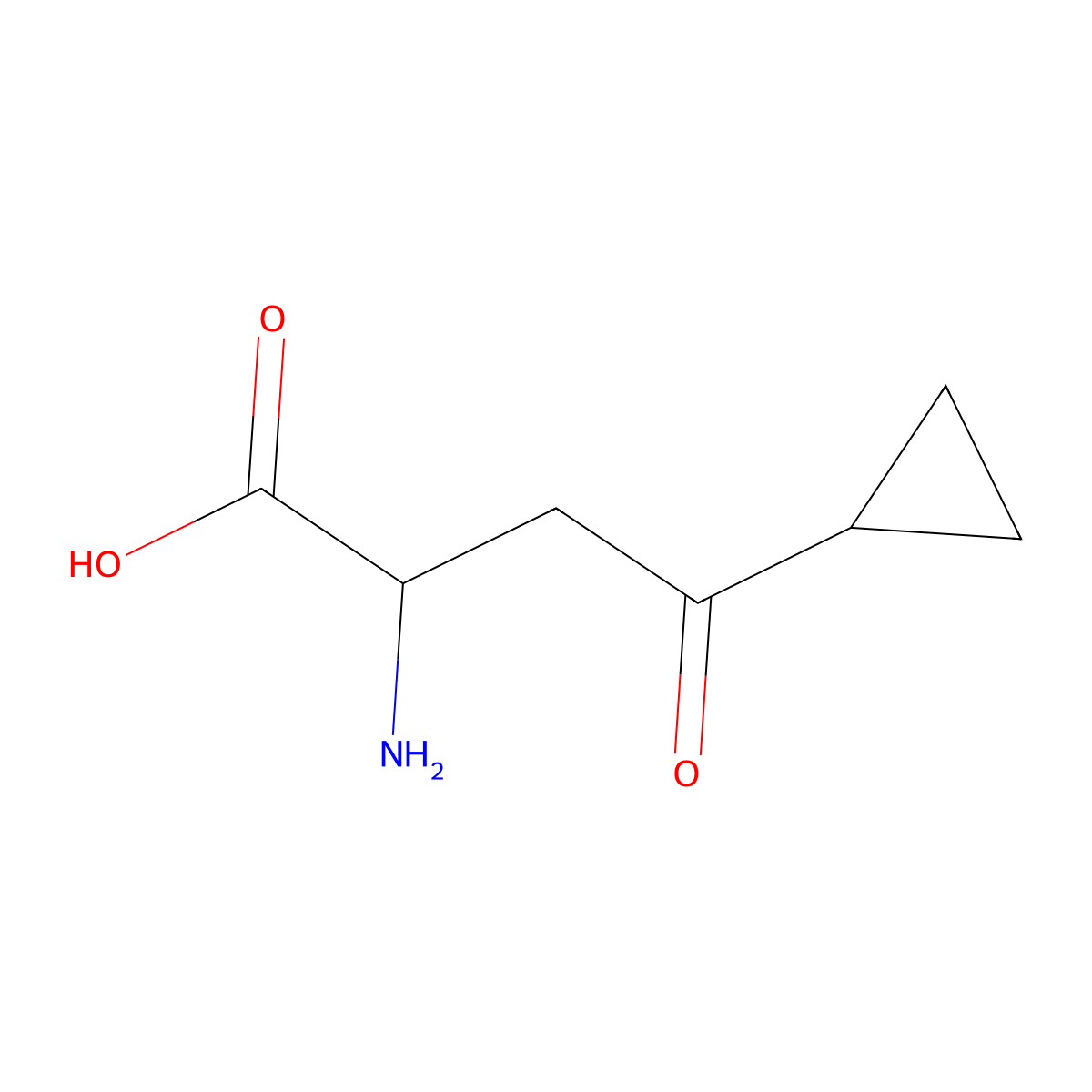2-Amino-4-cyclopropyl-4-oxobutanoic acid molecular structure, CAS 1513108-19-4
