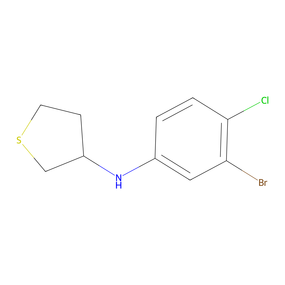 N-(3-bromo-4-chlorophenyl)thiolan-3-amine molecular structure, CAS 1516824-14-8