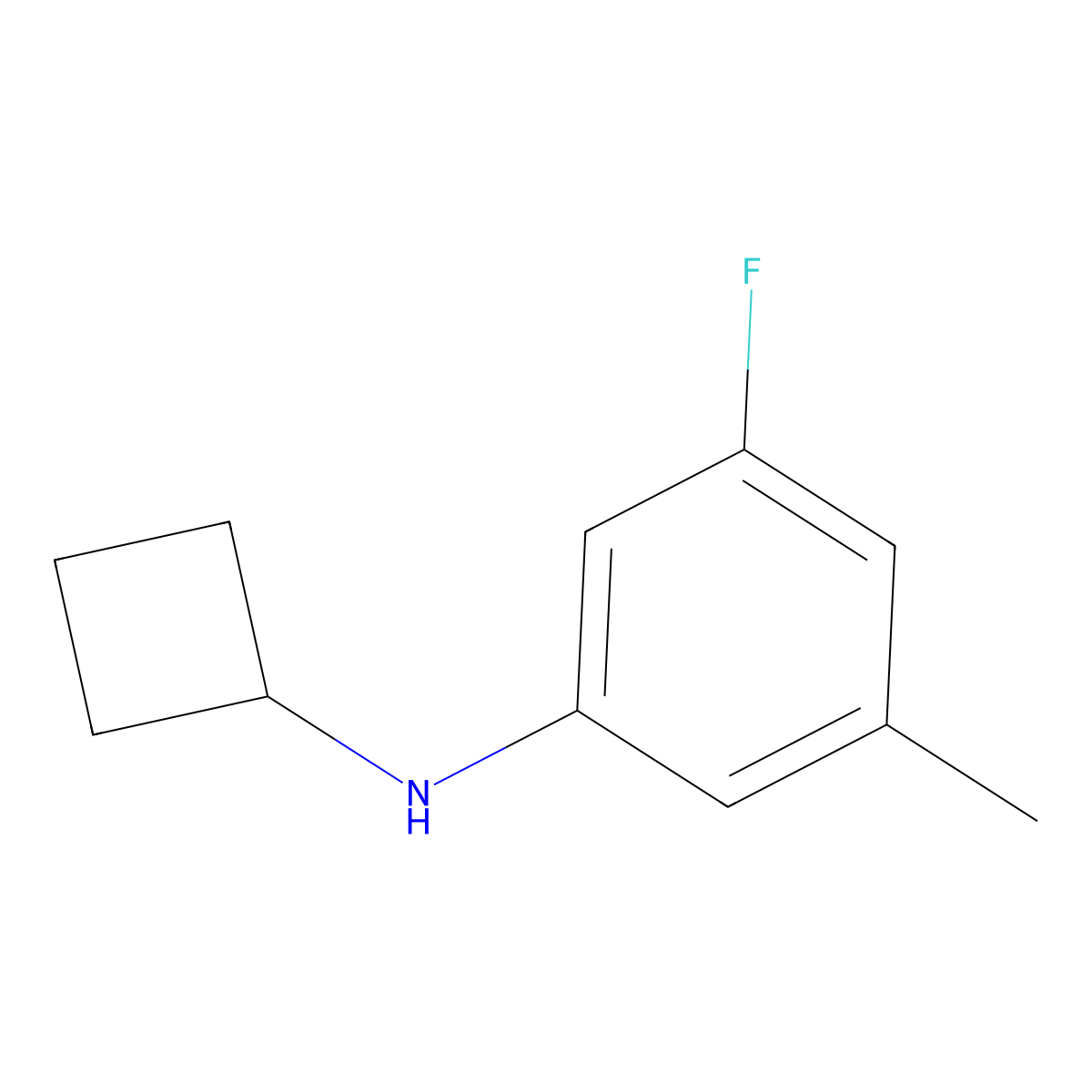N-cyclobutyl-3-fluoro-5-methylaniline molecular structure, CAS 1517884-62-6