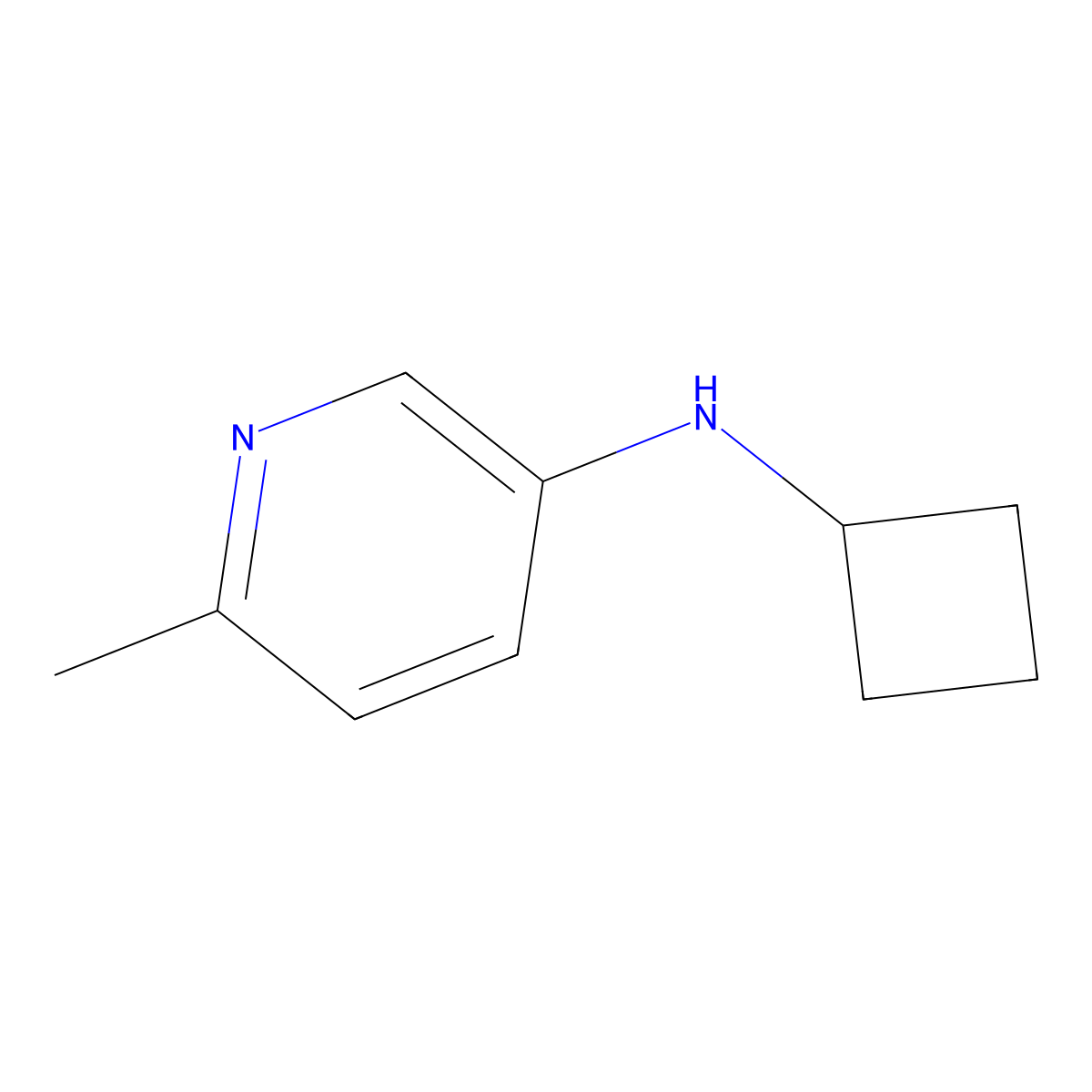 N-cyclobutyl-6-methylpyridin-3-amine molecular structure, CAS 1521665-97-3