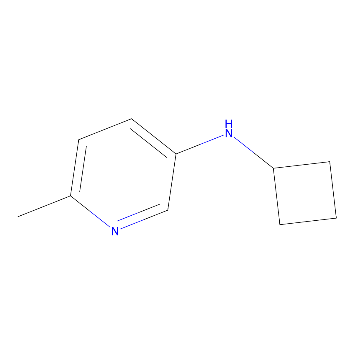 N-cyclobutyl-6-methylpyridin-3-amine molecular structure, CAS 1521665-97-3