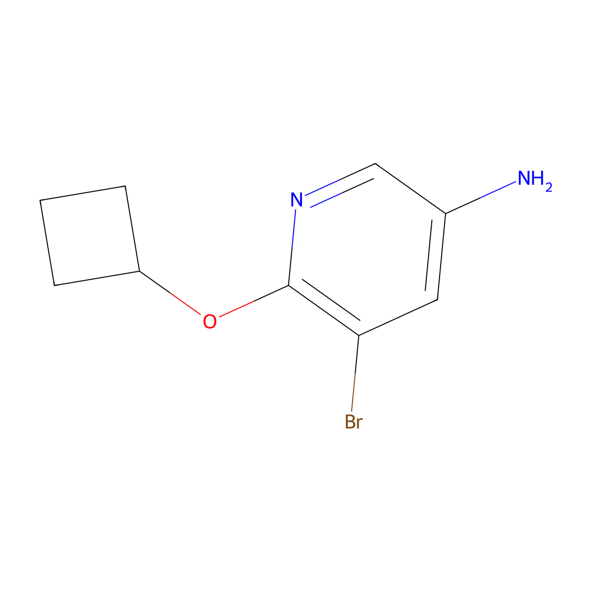 5-Bromo-6-cyclobutoxypyridin-3-amine molecular structure, CAS 1524250-48-3