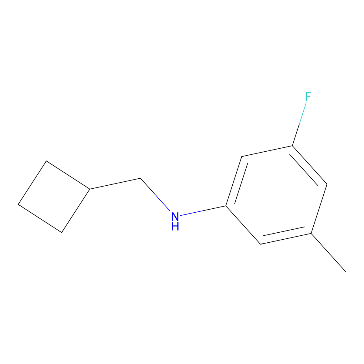N-(Cyclobutylmethyl)-3-fluoro-5-methylaniline molecular structure, CAS 1526578-89-1