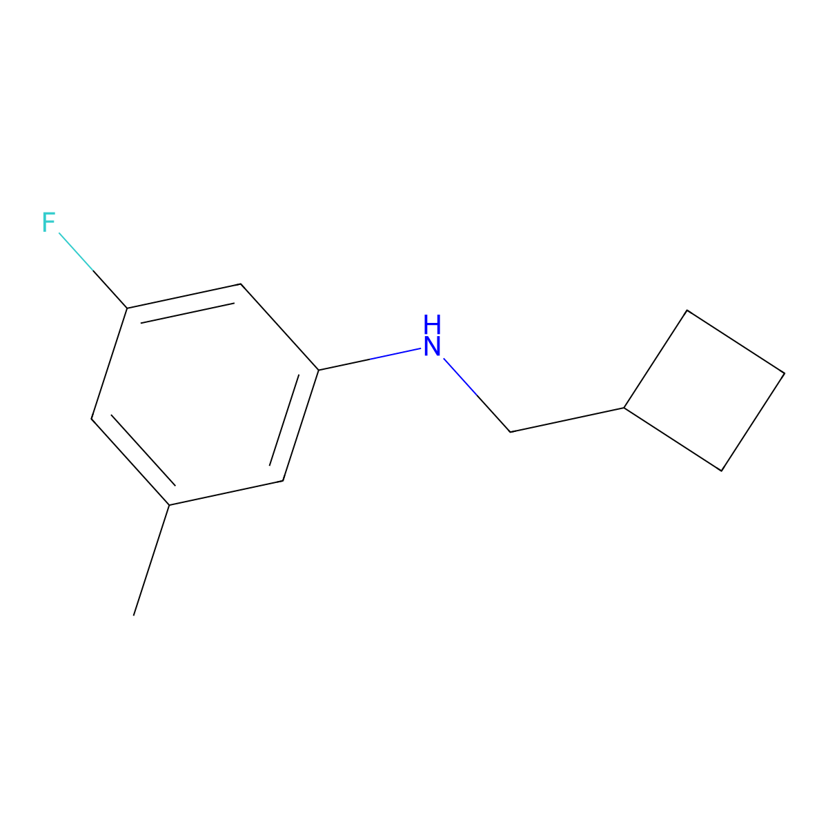 N-(Cyclobutylmethyl)-3-fluoro-5-methylaniline molecular structure, CAS 1526578-89-1