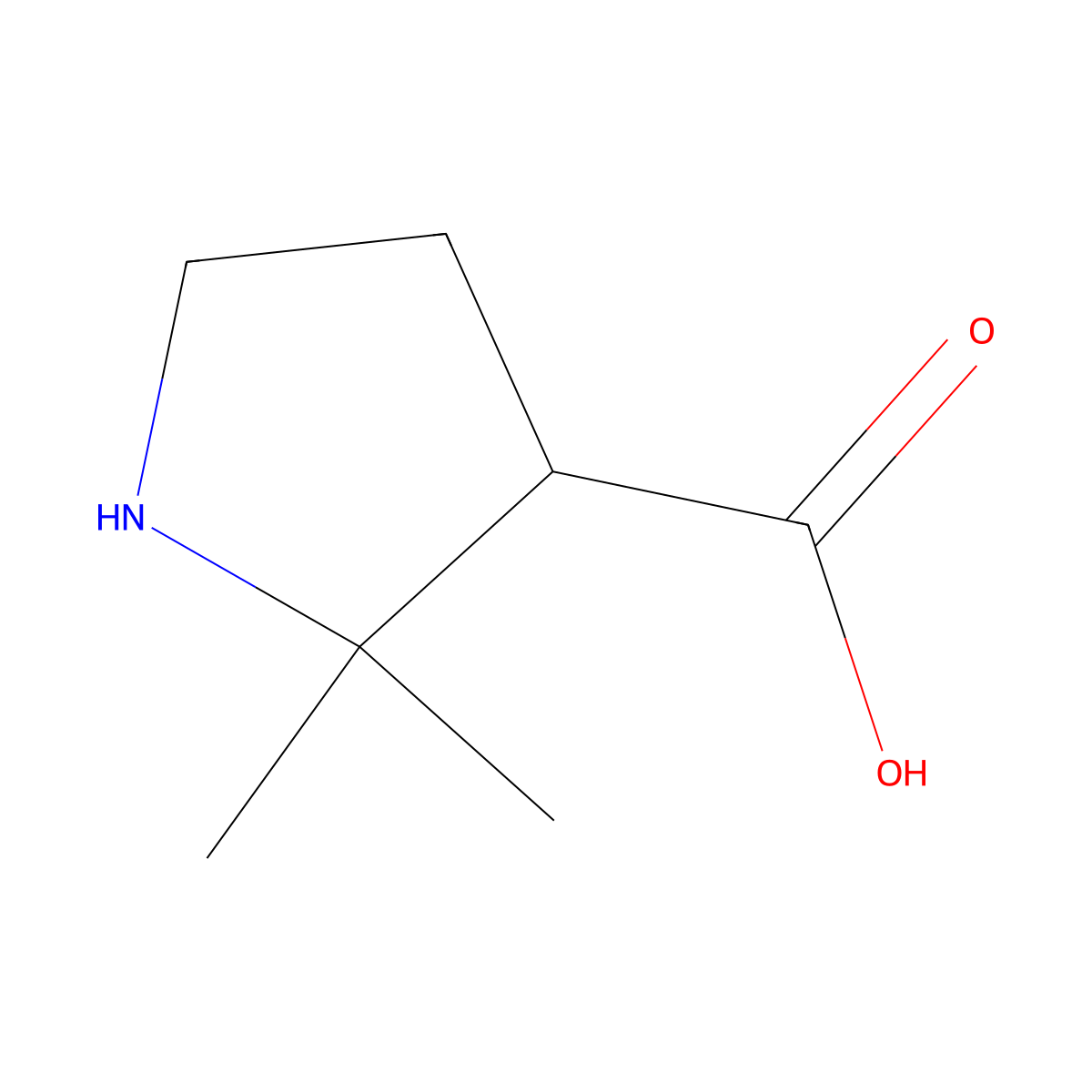 2,2-Dimethylpyrrolidine-3-carboxylic acid molecular structure, CAS 1534511-38-0