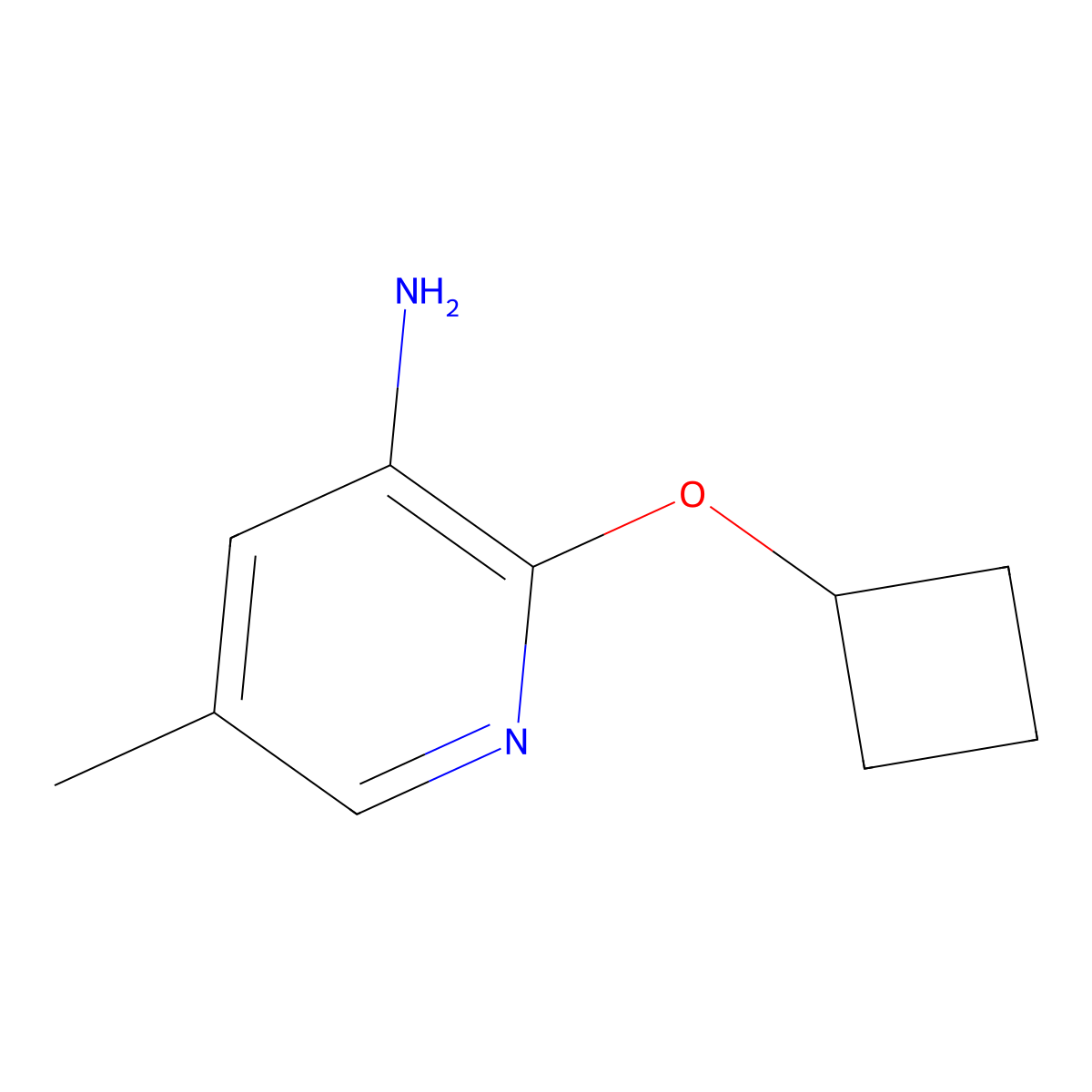 2-Cyclobutoxy-5-methylpyridin-3-amine molecular structure, CAS 1534629-75-8