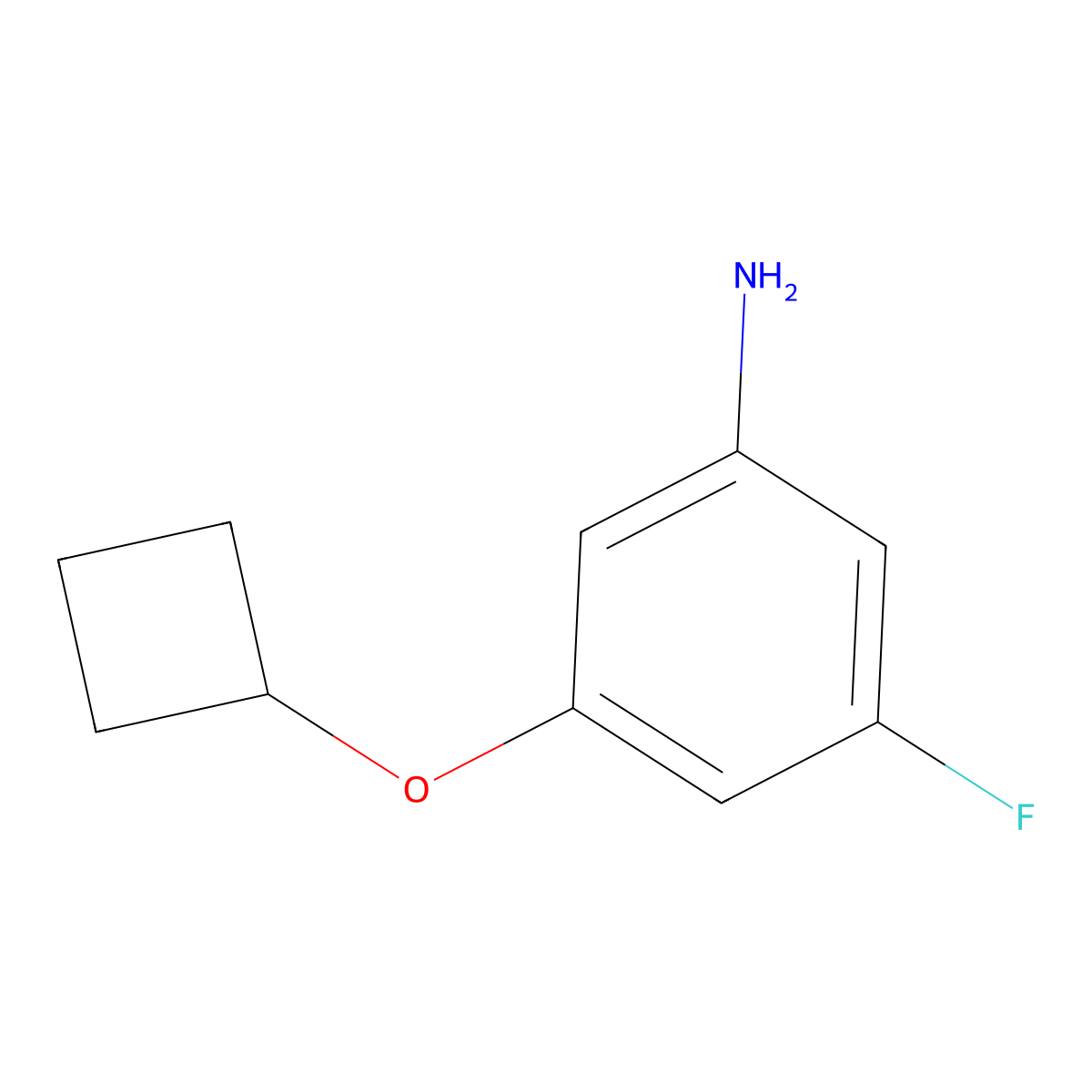 3-Cyclobutoxy-5-fluoroaniline molecular structure, CAS 1535372-28-1
