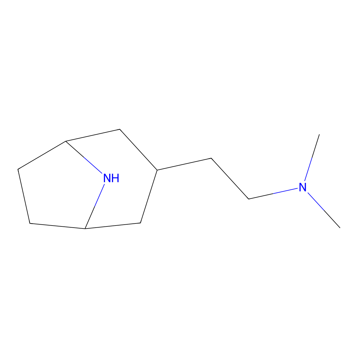 (2-{8-Azabicyclo[3.2.1]octan-3-yl}ethyl)dimethylamine molecular structure, CAS 1536085-27-4