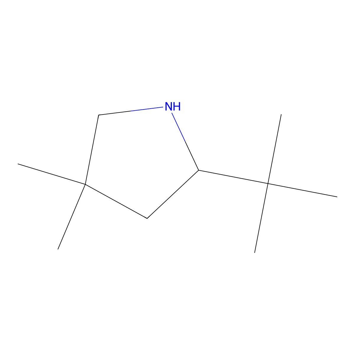 2-Tert-butyl-4,4-dimethylpyrrolidine molecular structure, CAS 1536417-03-4