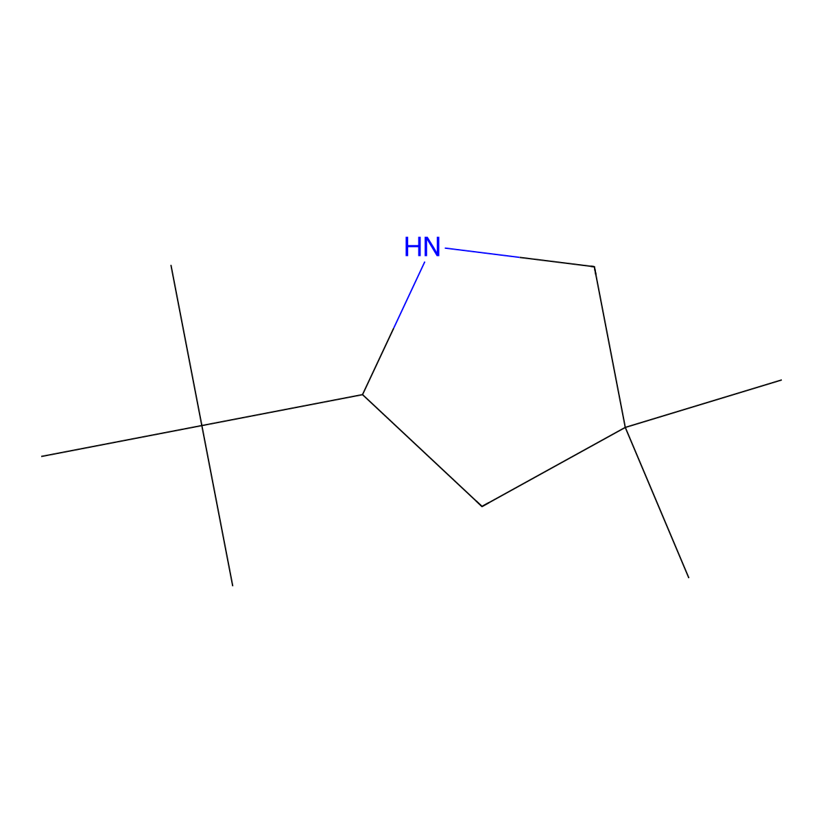 2-Tert-butyl-4,4-dimethylpyrrolidine molecular structure, CAS 1536417-03-4